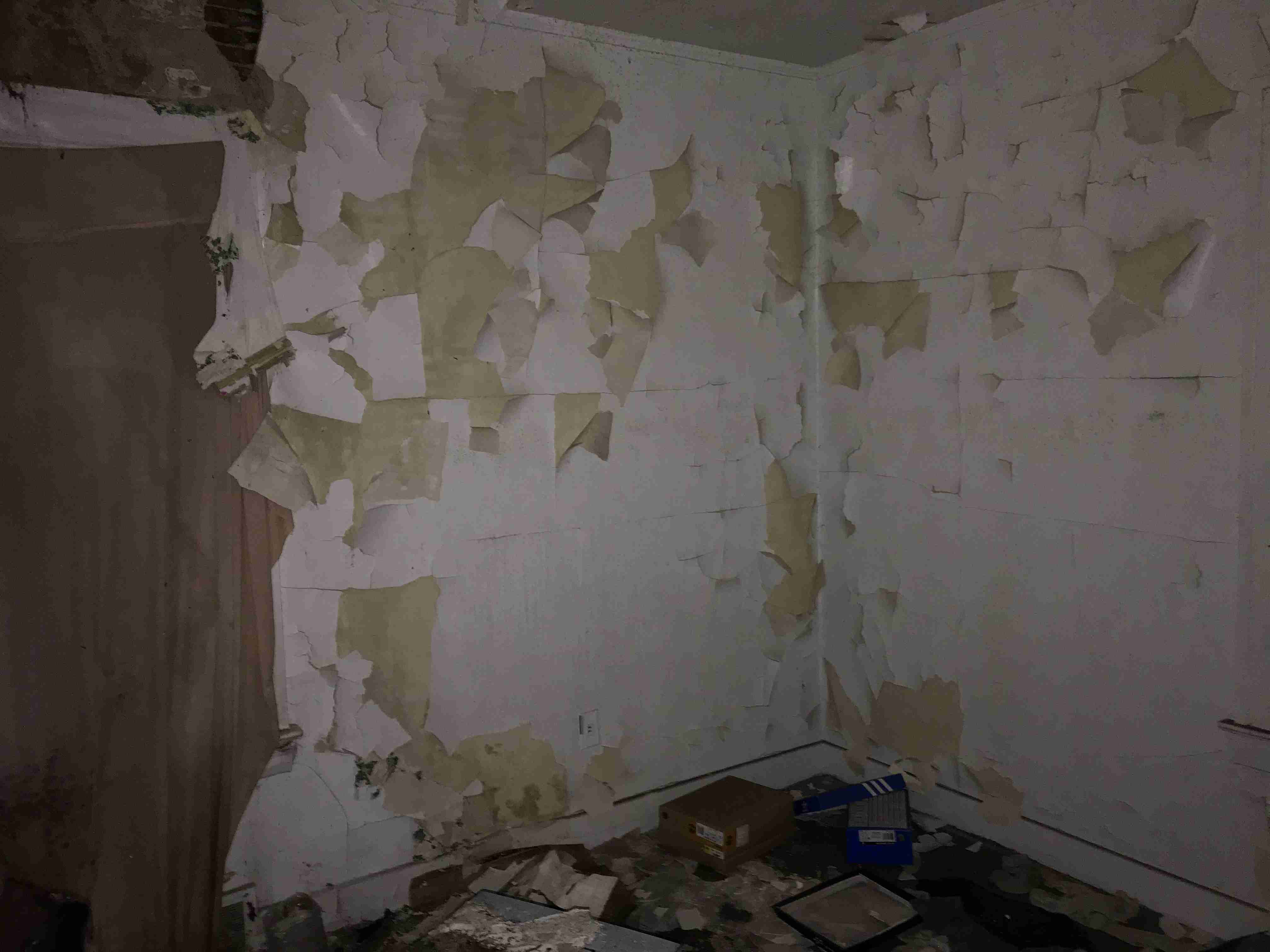 Photo Sep 10, 3 38 36 PM.jpg